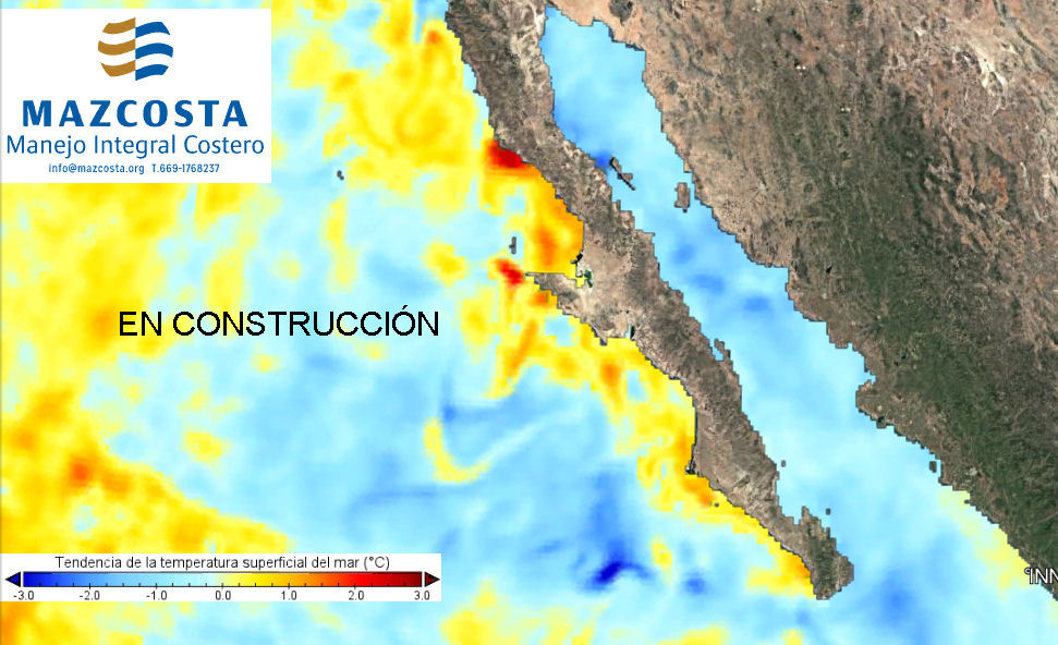 Mazcosta Logo